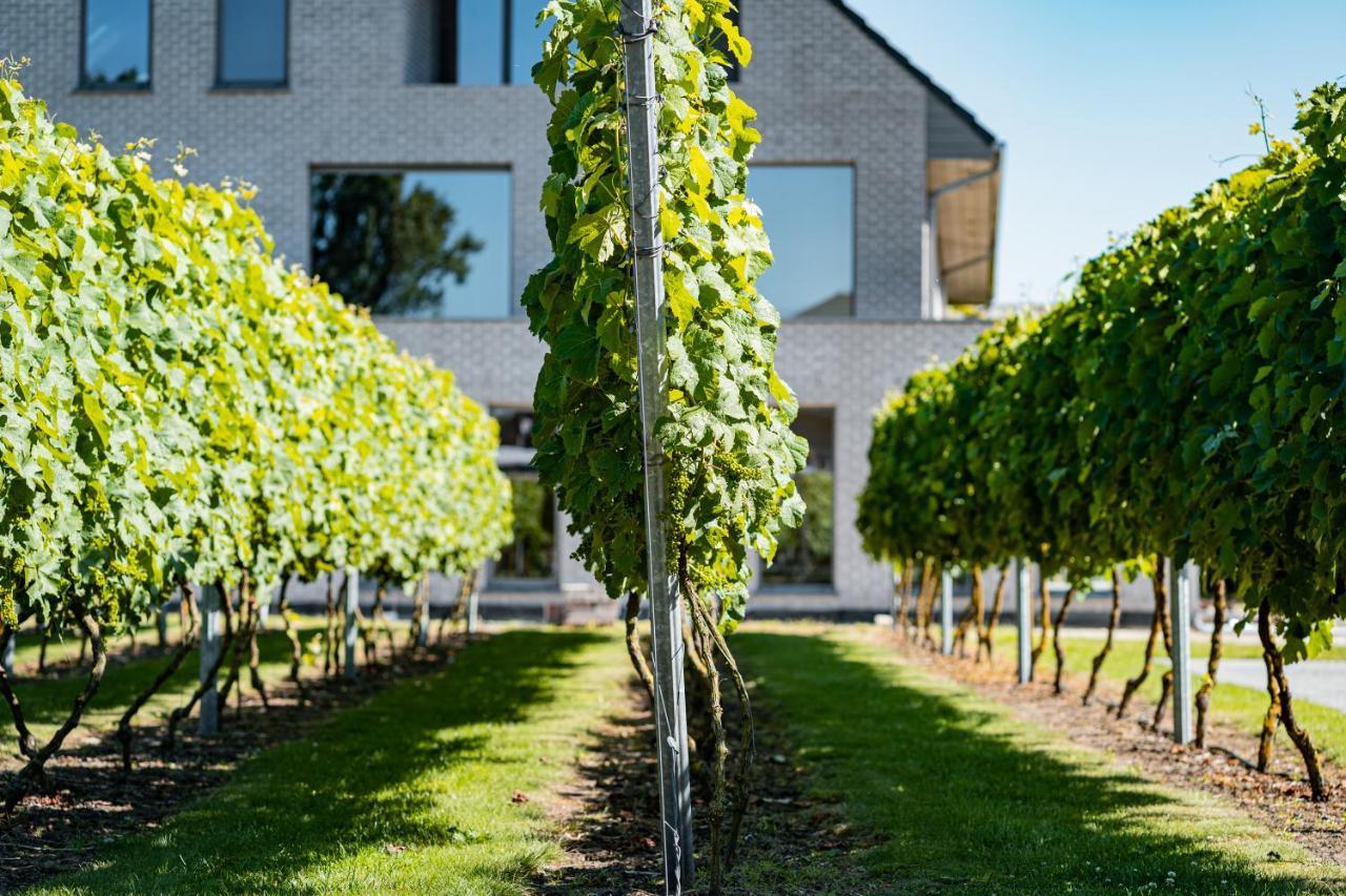 Abalona Hotel & Apartments Dendermonde Exterior photo