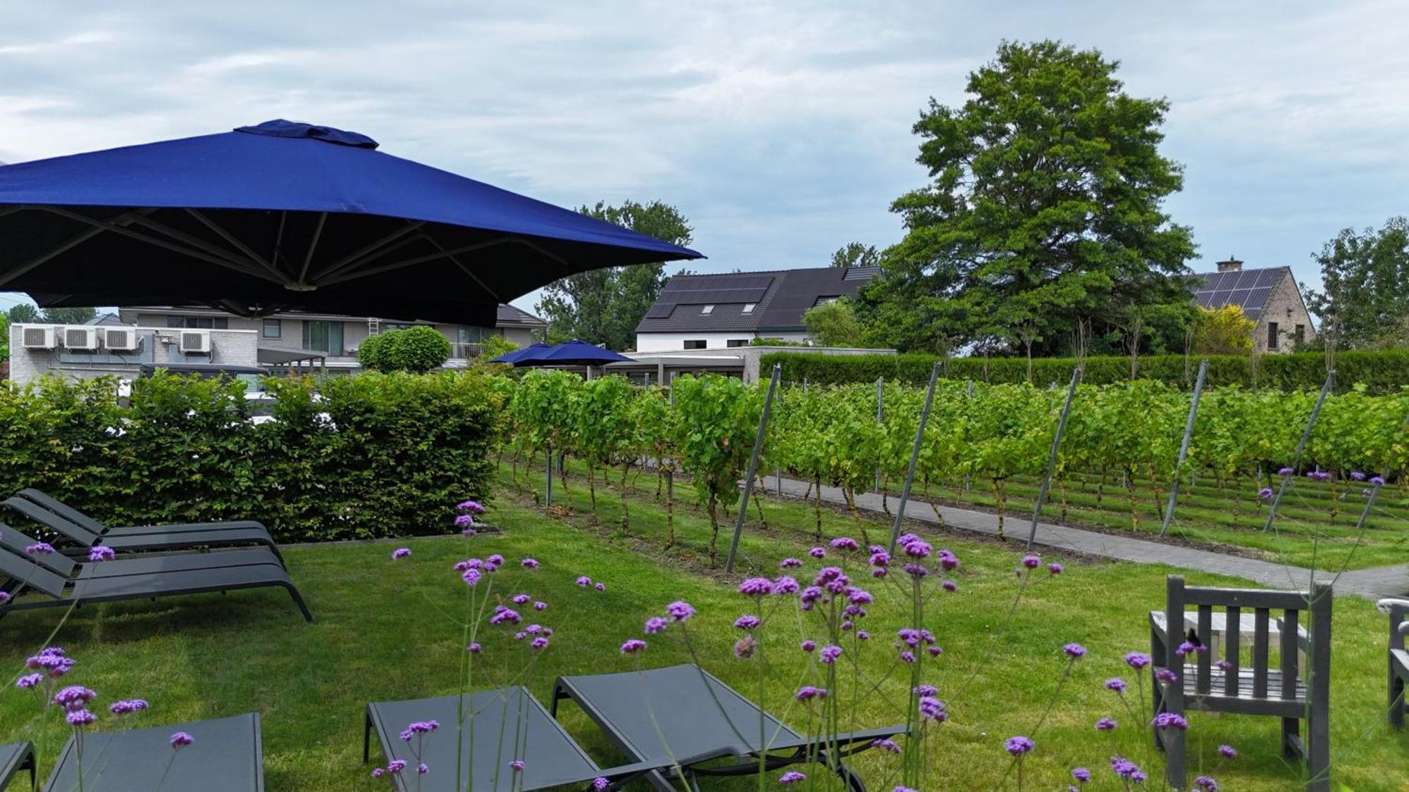Abalona Hotel & Apartments Dendermonde Exterior photo